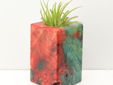 Wood Burl Wood+Resin Air Plant Holder - Kerri (Fire & Ice, 693278) Hot on Sale