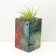 Wood Burl Wood+Resin Air Plant Holder - Dominic (Fire & Ice, 693249) Online