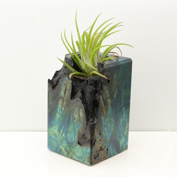 Wood Burl Wood+Resin Air Plant Holder - Atlas (Fire & Ice, 693259) Discount