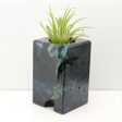 Wood Burl Wood+Resin Air Plant Holder - Brittney (Fire & Ice, 693275) Discount