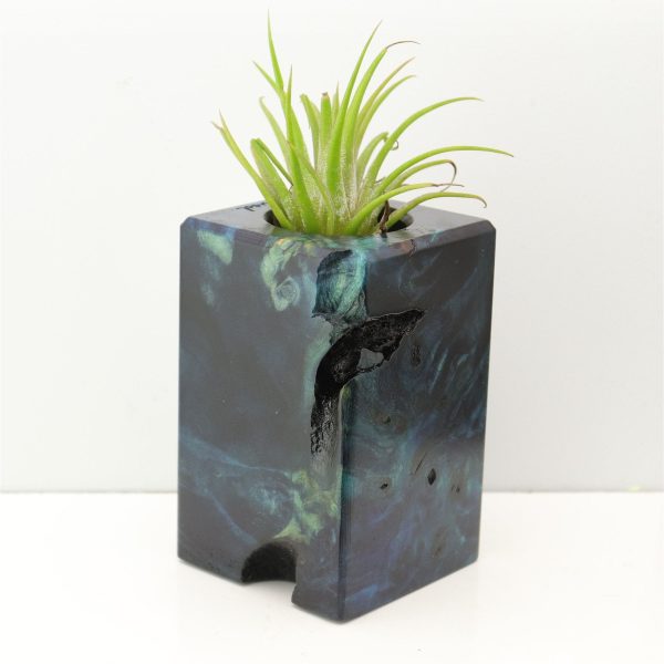 Wood Burl Wood+Resin Air Plant Holder - Brittney (Fire & Ice, 693275) Discount