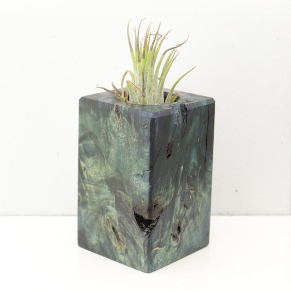 Wood Burl  Air Plant Holder - Kameron (Wood Burl, 691685) Online