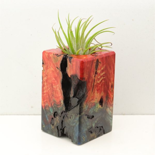 Wood Burl Wood+Resin Air Plant Holder - Violet (Fire & Ice, 693229) on Sale