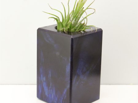 Wood Burl Wood+Resin Air Plant Holder - Xander (Fire & Ice, 693232) Fashion