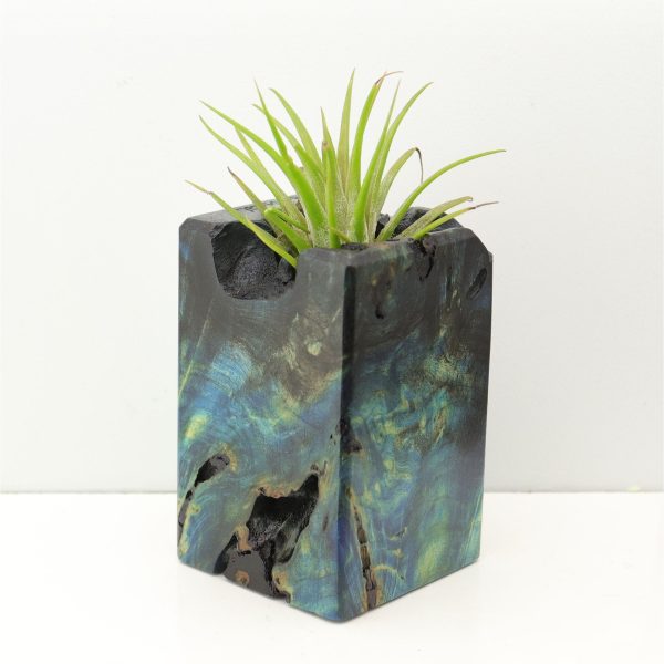 Wood Burl Wood+Resin Air Plant Holder - Eloise (Fire & Ice, 693273) Cheap