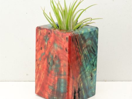 Wood Burl Wood+Resin Air Plant Holder - Alvin (Fire & Ice, 693226) Online