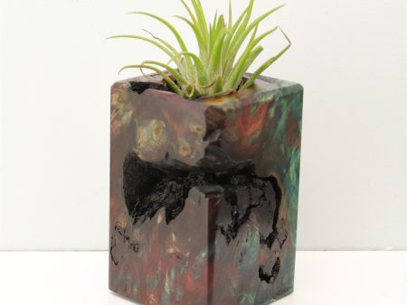 Wood Burl Wood+Resin Air Plant Holder - Taryn (Fire & Ice, 693248) Online