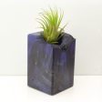 Wood Burl  Air Plant Holder - Elliot (Wood Burl, 689732) Online Hot Sale