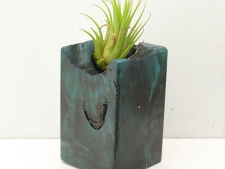 Wood Burl  Air Plant Holder - Arthur (Wood Burl, 689753) Supply